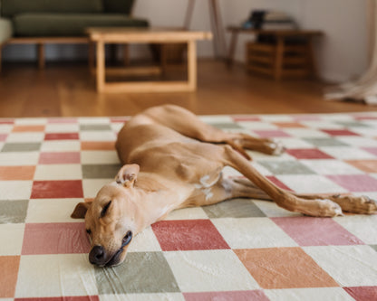 The Colourful Check Mat